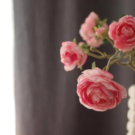 Talarowa Delux * Varsavia