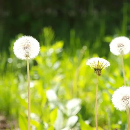 Talarowa Delux 아파트