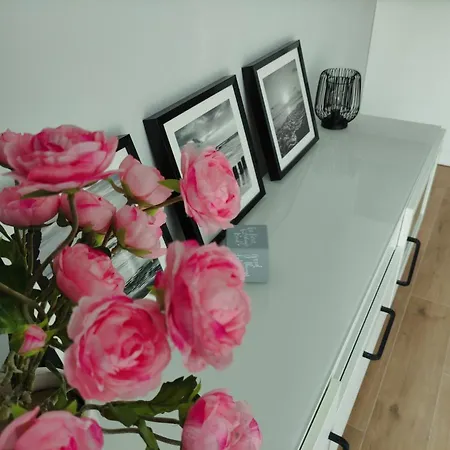 Apartman Talarowa Delux