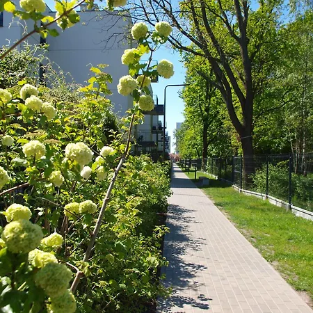 Apartman Talarowa Delux *